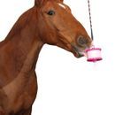 Likit Holder for Horses additional 2