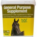 NAF GENERAL PURPOSE SUPPLEMENT additional 3