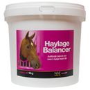 NAF HAYLAGE BALANCER additional 3