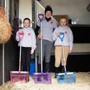 Red Gorilla PC D-Handle Bedding Fork - Short Handle additional 2