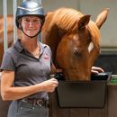 Red Gorilla Plas Hanging Horse Feeding Manger - Black (15 Litres) additional 2