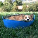 Red Gorilla Flexible Shallow Tub - Large (35 Litres) additional 2