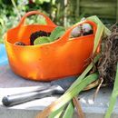 Red Gorilla Flexible Shallow Tub - Mini (5 Litres) additional 3