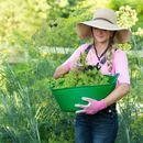 Red Gorilla Flexible Shallow Tub - Small (15 Litres) additional 4