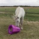 Stubbs Pony Hay Roller (S418) additional 5