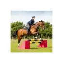 Stubbs Up &amp; Over additional 6