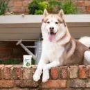 Yumove Joint Care for Adult Dogs additional 2