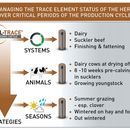 Agrimin AllTrace Organic Cattle additional 2
