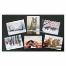 Caroline Cook Christmas Cards additional 2