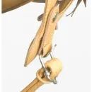 Champion CPX3000 Burgundy Riding Hat with Flesh Strap additional 3