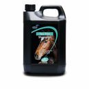 Lillidale Tea Tree Shampoo additional 3