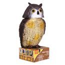 STV Action Owl (STV965) additional 3