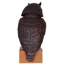 STV Action Owl (STV965) additional 4