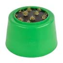 Stubbs Slo Grazer additional 3