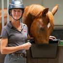 Red Gorilla Plas Hanging Horse Feeding Manger - Small additional 2