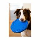 Battersea Foam Flyer Dog Toy additional 2