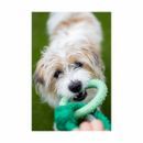 Battersea Rope and TPR Ring Dog Toy additional 4