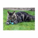 Battersea Tune Chaser Mice Cat Toy additional 5