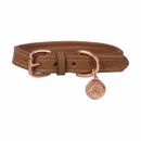 Benji &amp; Flo Deluxe Padded Leather Dog Collar additional 2