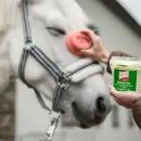 Bremsen Gel additional 2