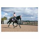 Coldstream Cranshaws Sleeveless Base Layer additional 4