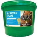 Global Herbs Airway Plus Powder additional 2