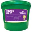 Global Herbs Fennel Seeds additional 2