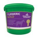 Global Herbs Turmeric Gold additional 1