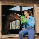 Horsemens's Pride Jolly Hay Ball additional 3