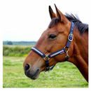 Hy Equestrian Mystic Head Collar additional 7