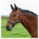 Hy Equestrian Mystic Head Collar additional 6