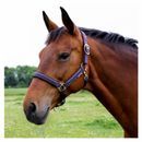 Hy Equestrian Mystic Head Collar additional 8
