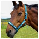 Hy Equestrian Mystic Head Collar additional 9