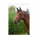 Hy Equestrian Woven Polo Head Collar and Lead Rope additional 3