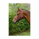 Hy Equestrian Woven Polo Head Collar and Lead Rope additional 7