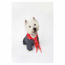 Joules Harbour Top &amp; Neckerchief Set additional 10
