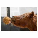 Likit Granola Stall Ball additional 6