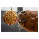 Likit Granola Stall Ball additional 5