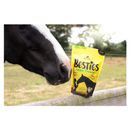 Lincoln Besties additional 5