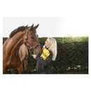 Lincoln Besties additional 3