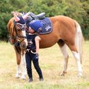 The Princess and the Pony Fly Veil By Little Rider additional 3