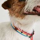 Joules Rainbow Stripe Dog Collar additional 2