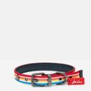 Joules Rainbow Stripe Dog Collar additional 5