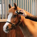 Supreme Products Pro Groom Junior Face Brush additional 2