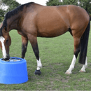 Stubbs Medium Slo-Grazer additional 8