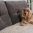 Pet Rebellion Comfy Non-Slip Sofa Cover - Stone (100cm x 170cm) additional 6