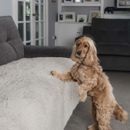 Pet Rebellion Comfy Non-Slip Sofa Cover - Stone (100cm x 170cm) additional 7