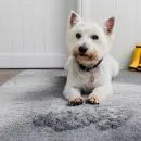 Pet Rebellion Big Softie Super Soft Luxury Dog Mat - Grey/Silver (80cm x 120cm) additional 6