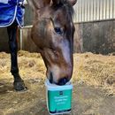 NAF Glucosamine 12,000 Plus with MSM additional 3