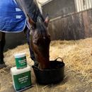 NAF Glucosamine 12,000 Plus with MSM additional 2